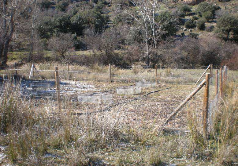 Programa de Actuaciones para la Conservación de Invertebrados