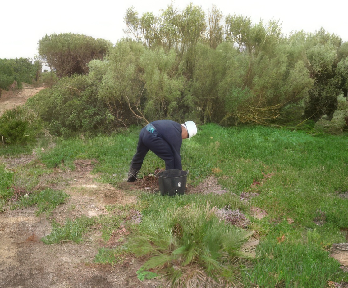 Programa de Actuaciones para la Conservación de Invertebrados