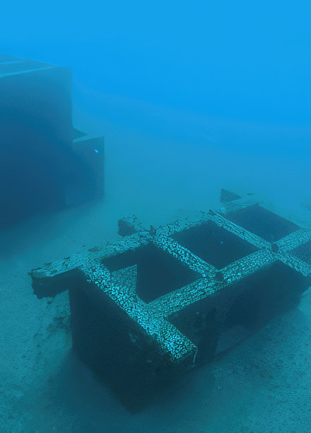 Imagen submarina de núcleos de concentración de un arrecife