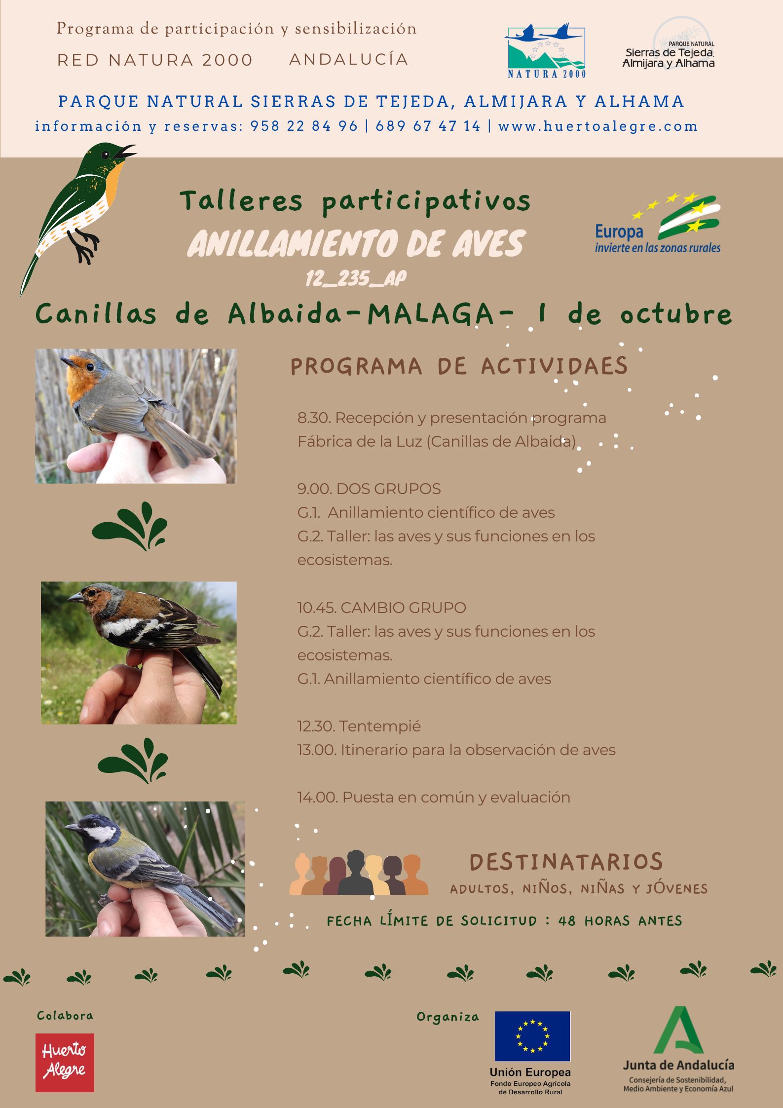 Cartel de la actividad