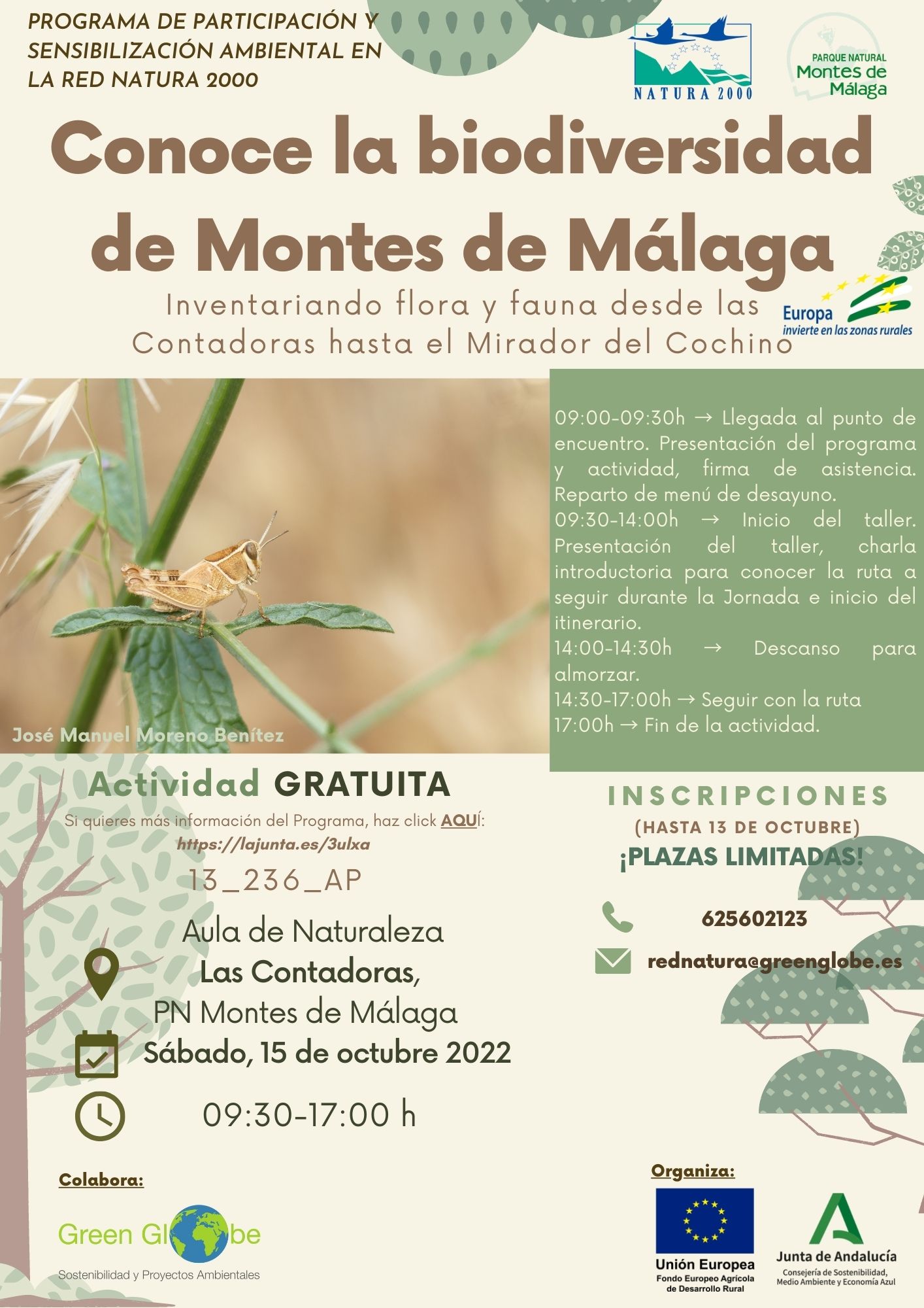 Imagen ilustrativa del cartel publicitario de la actividad