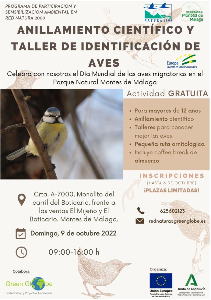 Cartel de la actividad