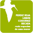 Paloma torcaz, zorzales, estornino pinto, aves acuáticas