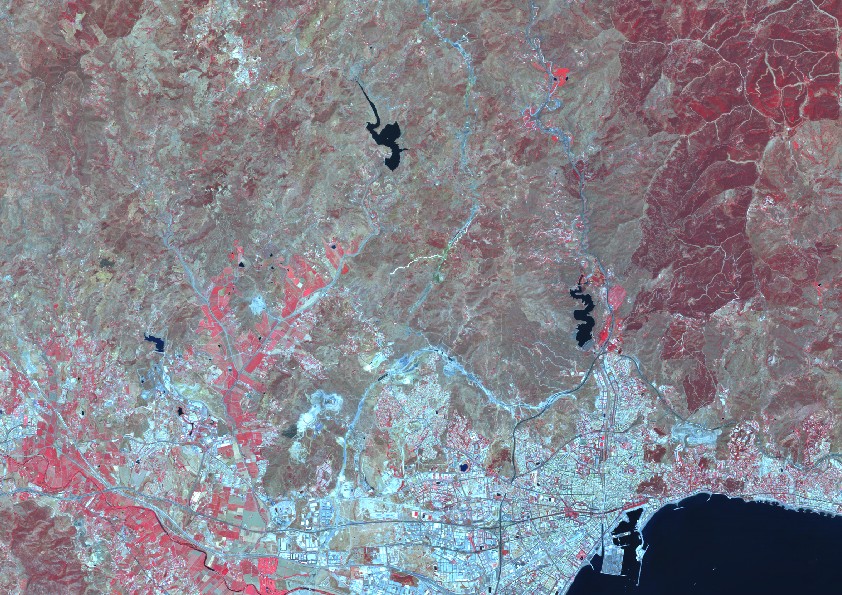 Detección de cambios en zonas forestales para la actualización de SIOSE-Andalucía 2005 a 2009 con imágenes SPOT-5 (detalle escena 035276, Málaga)