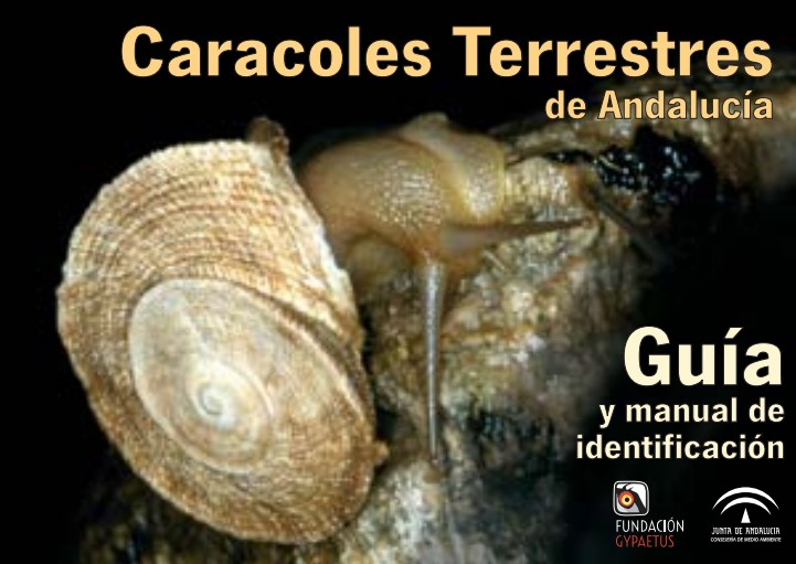 Portada Caracoles terrestres de Andalucía. Guía y manual de identificación