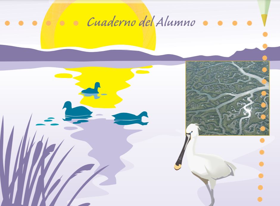 Portada de la publicación