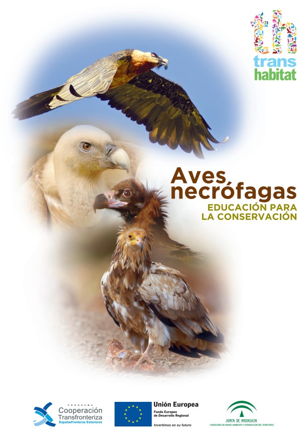 Portada de la publicación