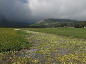 Patrimonio natural en el Geoparque Sierras Subbéticas