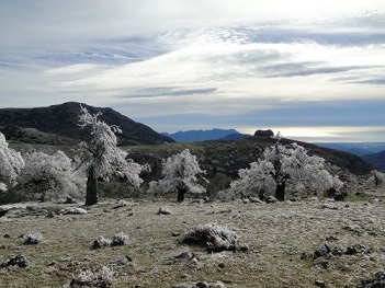 Parque Nacional de la Sierra de las Nieves