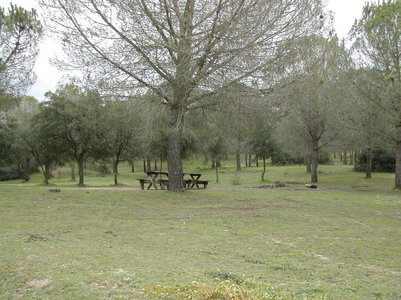 Ampliar imagen: área recreativa situada en el parque, con una mesa y bancos de madera
