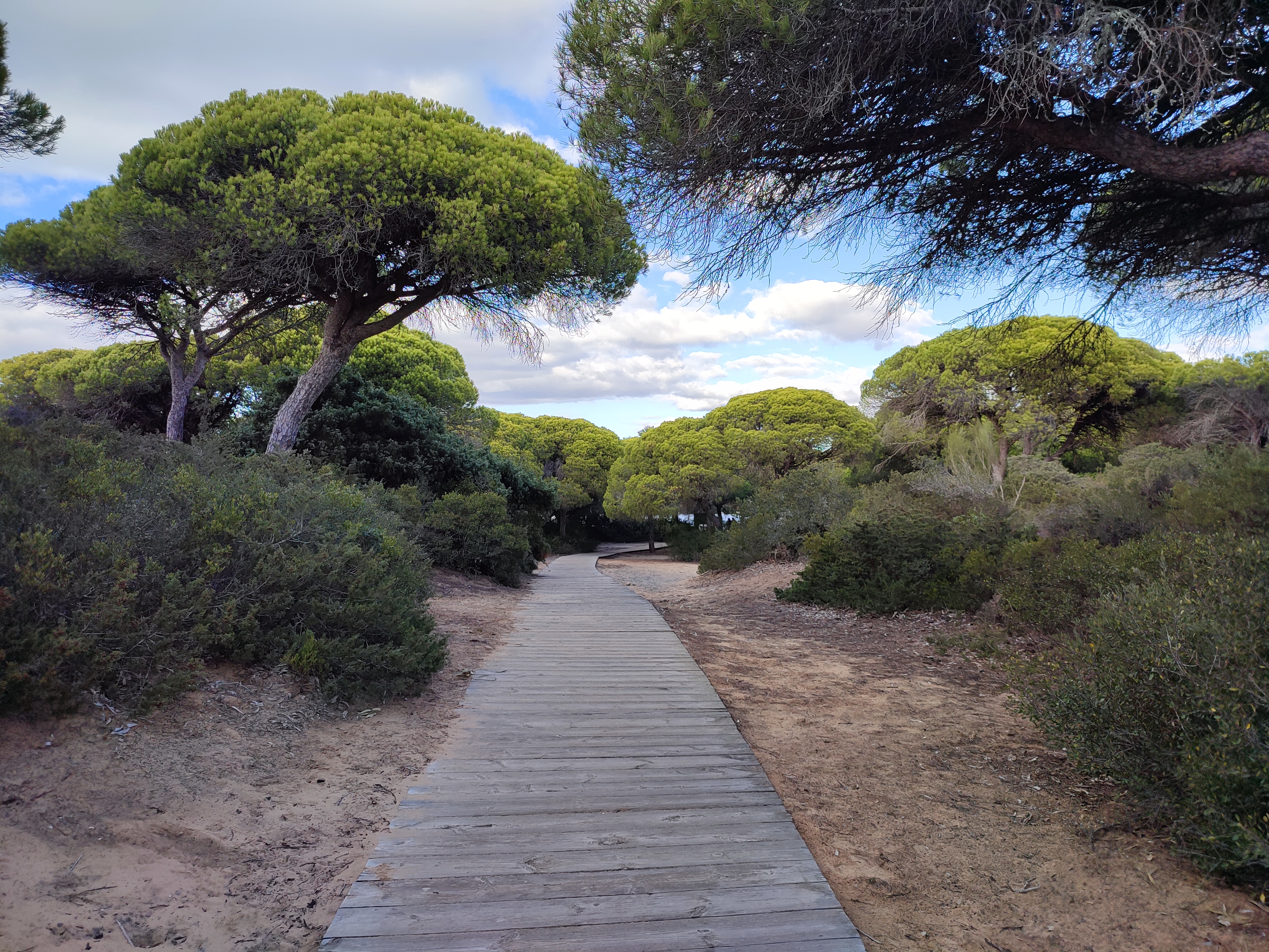 Parque Periurbano La Barrosa