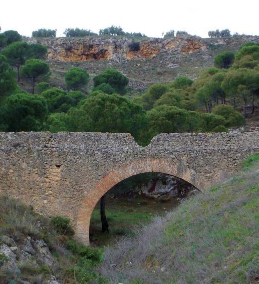 Puente antiguo de piedra de un arco, en el cauce de un riachuelo seco, rodeado de pinos