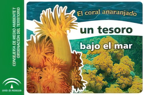 Imagen de portada del documento El coral anaranjado un tesoro bajo el mar