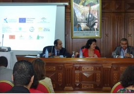 Gestión y coordinación del proyecto
