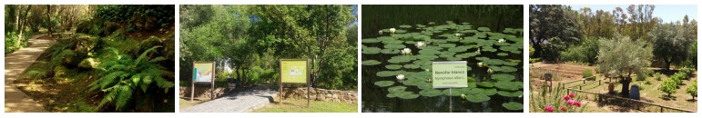 Mosaico de imágenes del Jardín Botánico