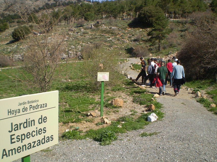 Escolares visitando el Jardín Botánico Hoya de Pedraza