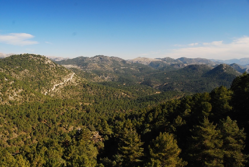 Parque Natural Sierra de Huetor