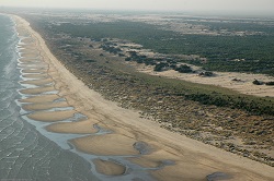 Zona de playa en Doñana