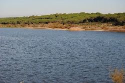 Laguna del Portil
