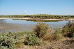 Laguna del Portil