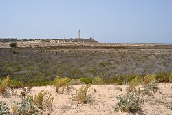 Dunas y depresiones interdunares
