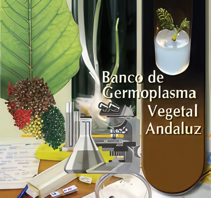 Banco de Germoplasma Vegetal Andaluz (BGVA)