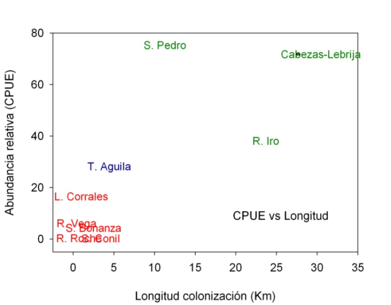Gráfico de estado de conservación