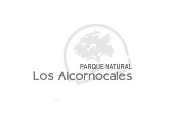 /medioambiente/portal/documents/20151/648019/logo_alcornocales.jpg/99157d08-4faf-51f4-c228-5c9e3895cac9?t=1603440181729 /medioambiente/portal/documents/20151/648019/logo_alcornocales.jpg/99157d08-4faf-51f4-c228-5c9e3895cac9?t=1603440181729