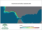Concentración de Clorofila-a. Septiembre 2019
