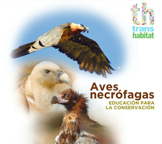Recuperación ambiental de Transhábitat mediante capacitación profesional de proximidad
