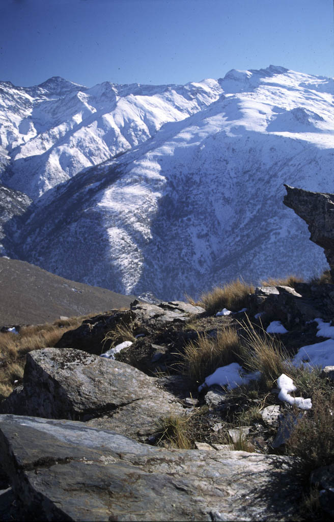 Cordillera nevada con rocas y vegetación baja.