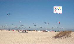 Avances del Proyecto