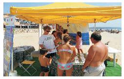 Avances del Proyecto