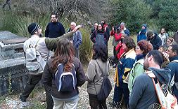 Avances del Proyecto