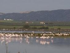 Gestión y conservación ambiental en Transhábitat