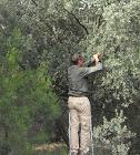 Gestión y conservación ambiental en Transhábitat