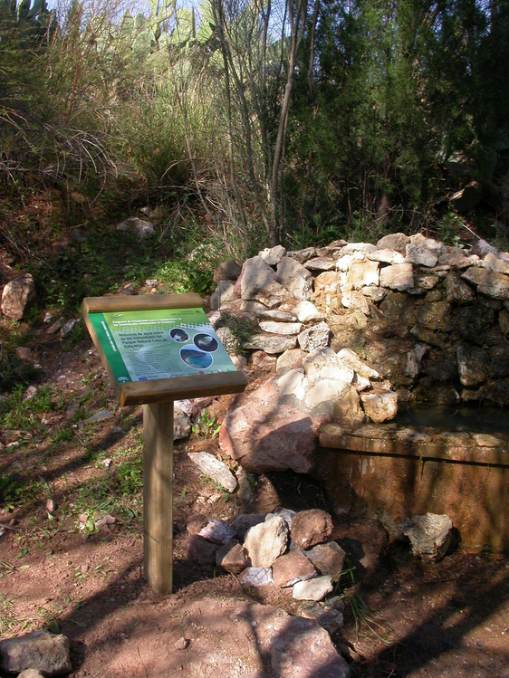 Programa de Actuaciones para la Conservación de Invertebrados