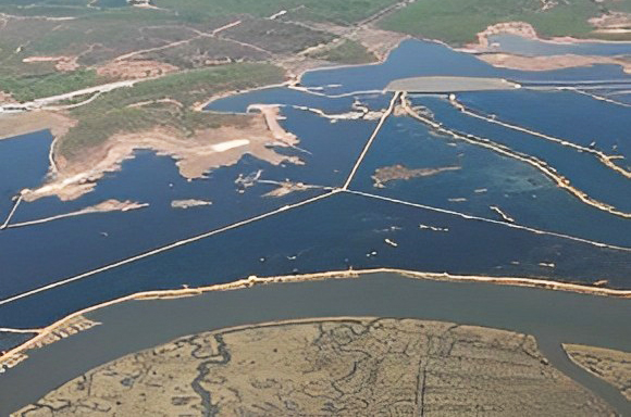 Vista aérea de la Reserva Natural Isla de Enmedio (Huelva)