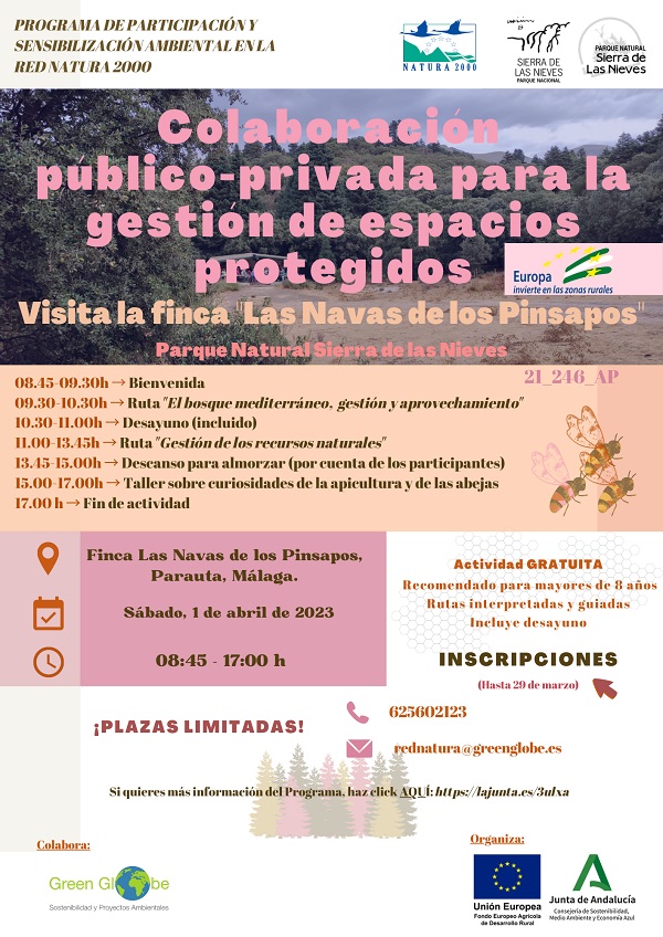 Cartel actividad