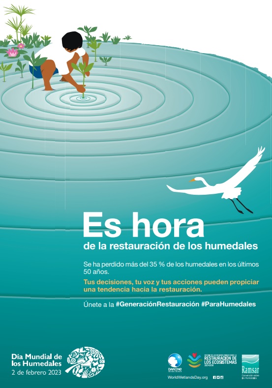 Cartel de la actividad