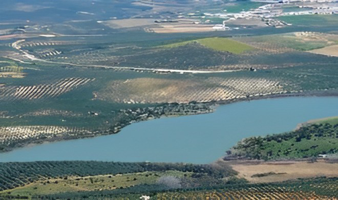 Vista aerea de la Laguna de Zóñar rodeada de olivos. Al fondo el municipio cordobés de Aguilar de la Frontera.