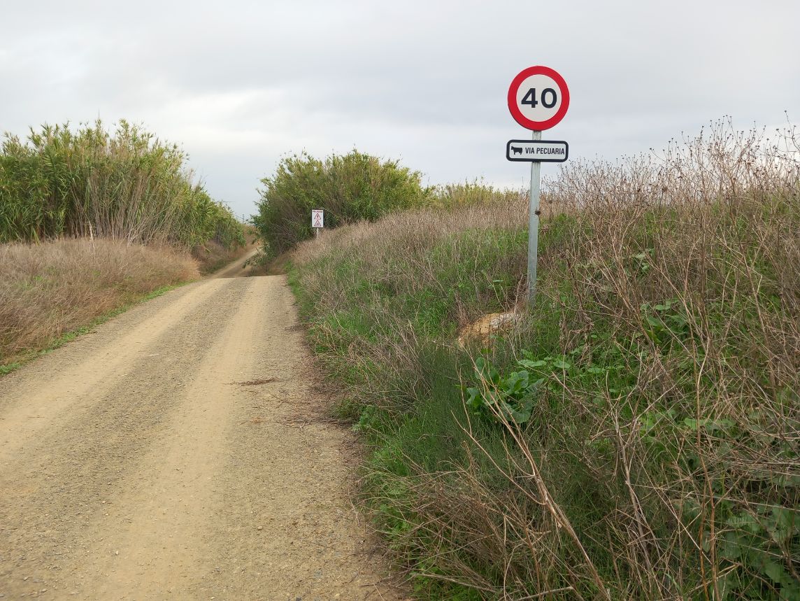 Vía pecuaria Vía pecuaria