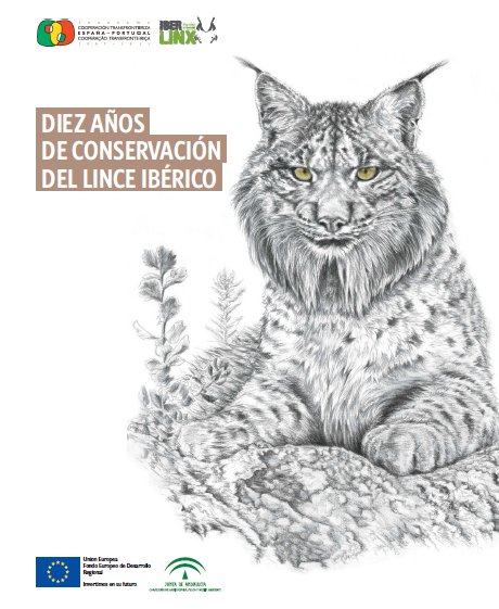 Portada de la publicación 