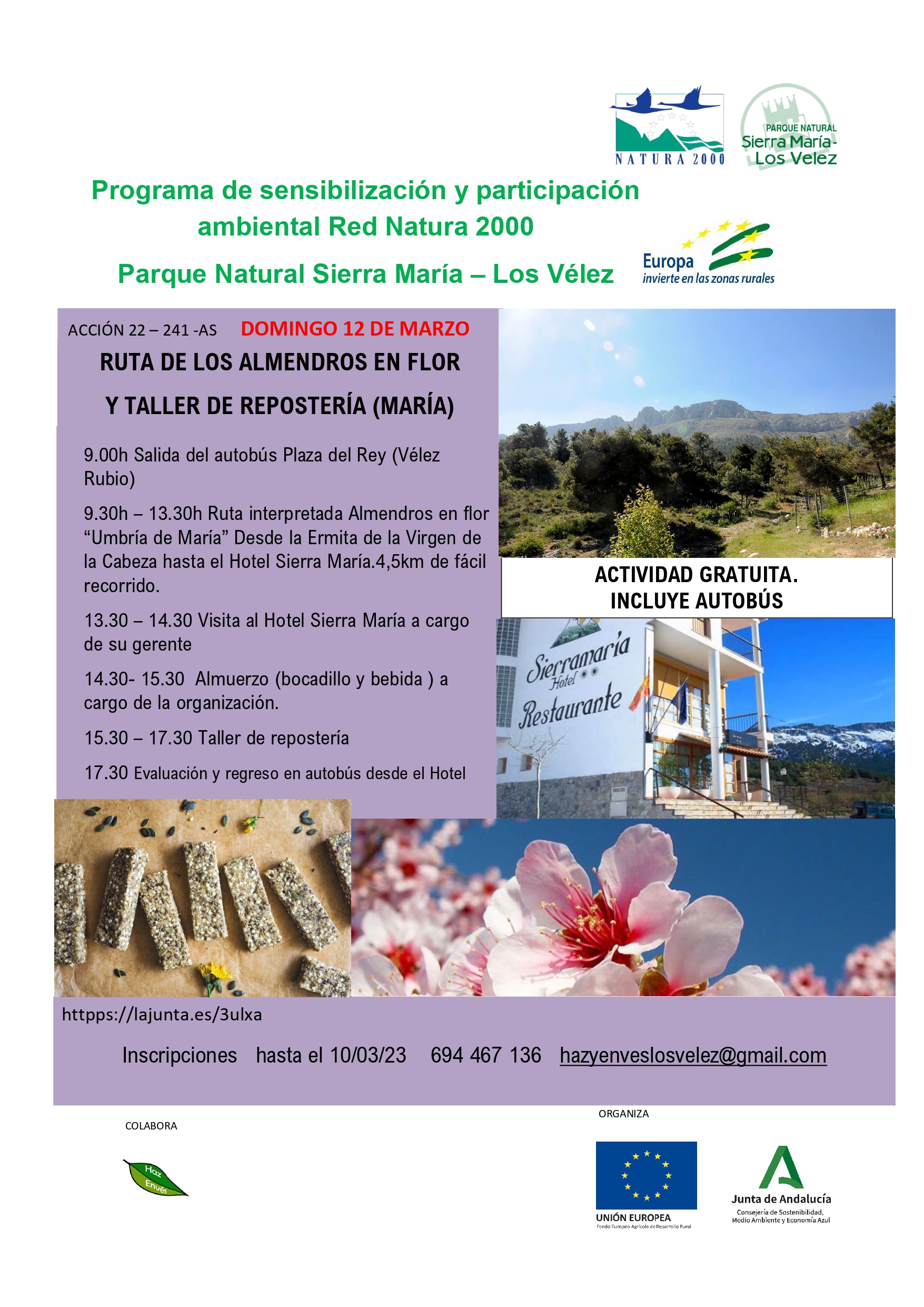 Cartel de la actividad