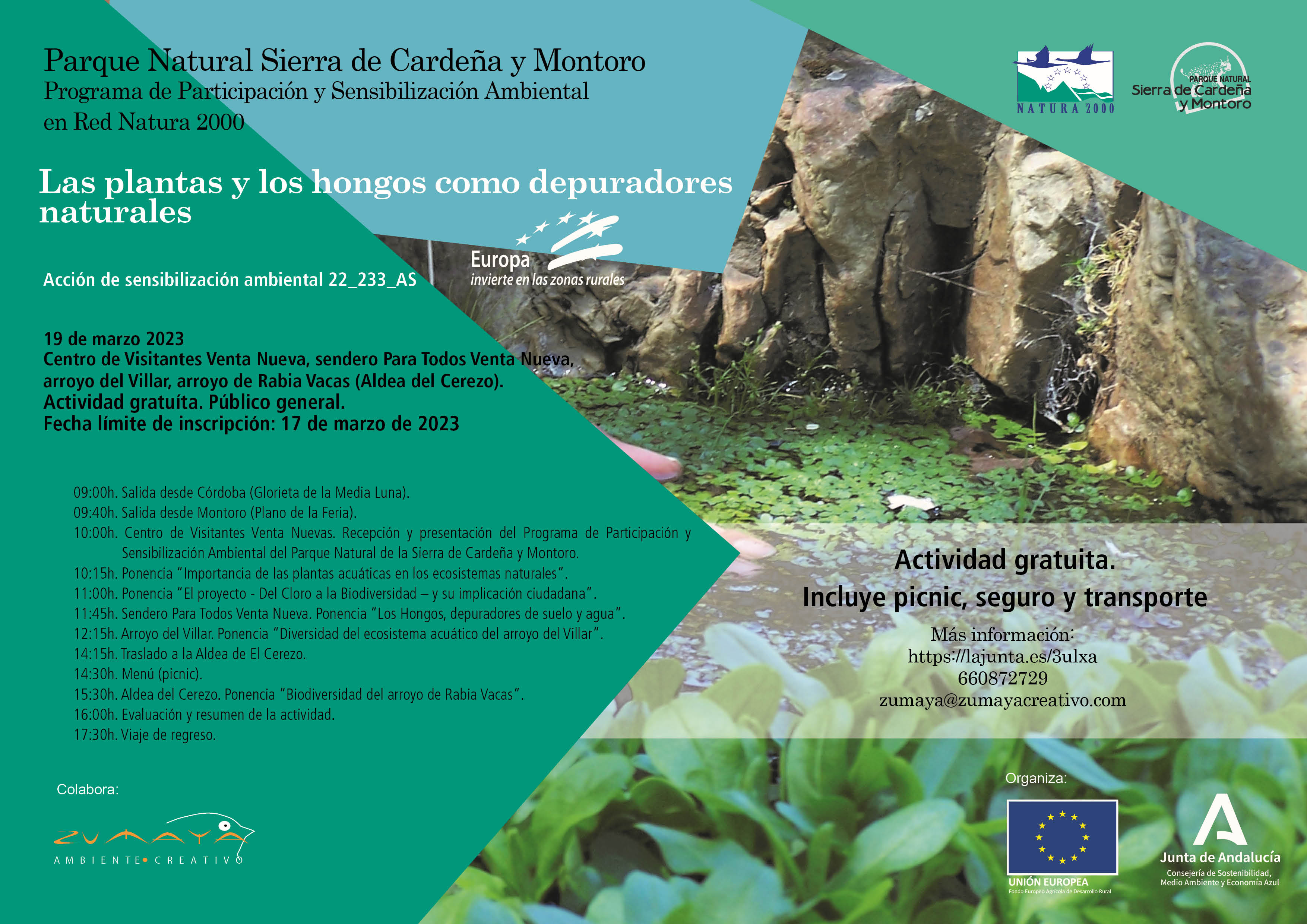 Cartel de la actividad Las plantas y los hongos como depuradores naturales