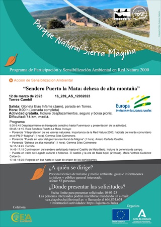 Catel de la actividad