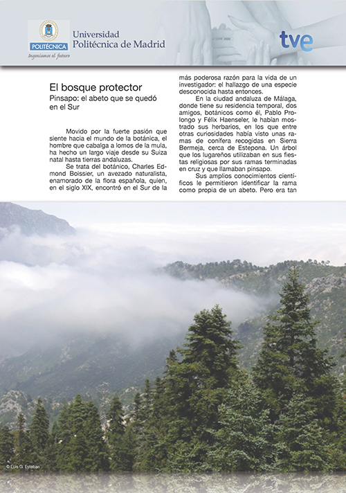 Portada de artículo