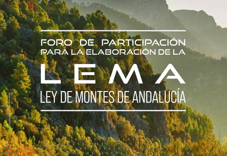 Ampliar imagen: Foro de participación para la elaboración de la Ley de Montes de Andalucía