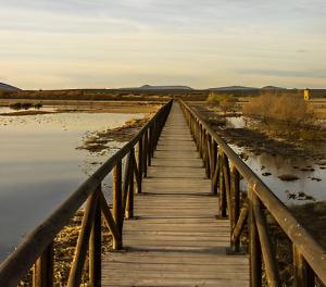 Formación online: Ecosistemas Forestales y Flora Silvestre, Biodiversidad-Aves y Medio Litoral