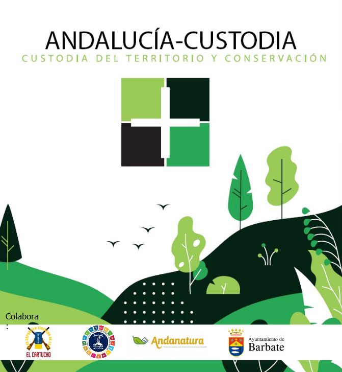 Imagen ilustrativa del cartel publicitario de la actividad
